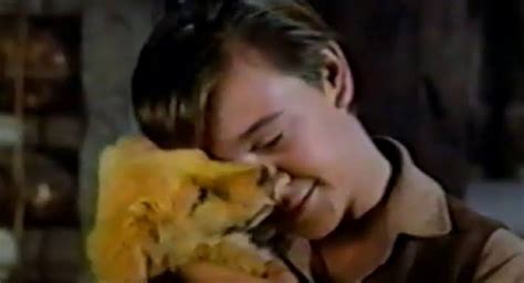 Old Yeller Ending Explained: Why Was Old Yeller Put Down? - INDreport.com