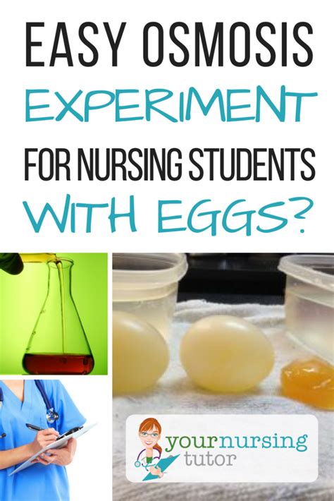 Osmosis Experiment: Seeing Osmosis in Action ⋆ Your Nursing Tutor