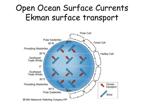 PPT - Ocean Circulation II Ekman transport & Geostrophic currents PowerPoint Presentation - ID ...