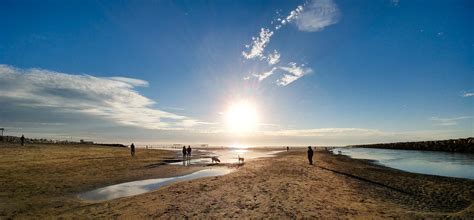 Dog Beach | Ocean Beach San Diego CA