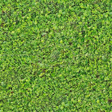 Grass PBR texture seamless 21453