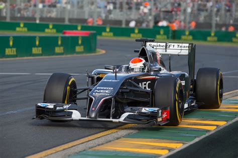 Adrian Sutil - Sauber F1 Team: FIA Formula 1 World Championship 2014 - Photo 22/24