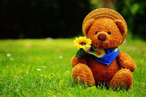 Teddy Bear Wallpapers Images Photos Pictures Backgrounds