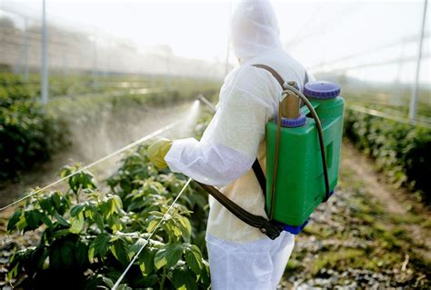 Off-target pesticide service douses neighboring properties, people ...