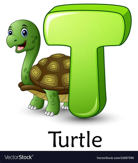 Letter t is for turtle cartoon alphabet Royalty Free Vector | Alphabet pictures, English ...