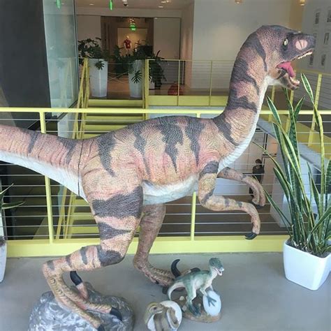 At work they have reminders of some of our major customers. Like a velociraptor (Field Museum ...