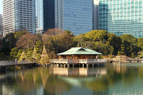 Experience Asia: Top 8 attractions in Tokyo, Japan