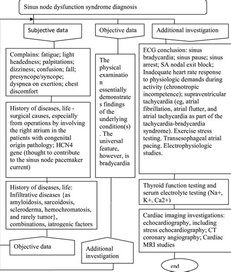 Diagnosis of sinus node dysfunction syndrome by language "Dragon ...