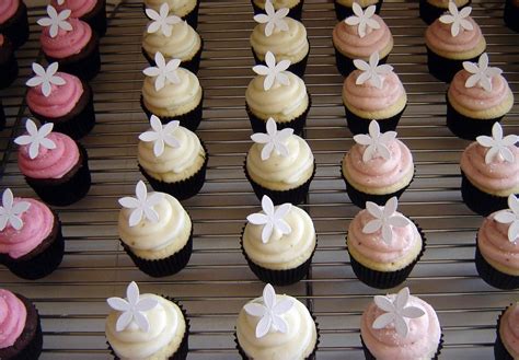 Wedding Shower Cupcakes Ideas - Wedding and Bridal Inspiration