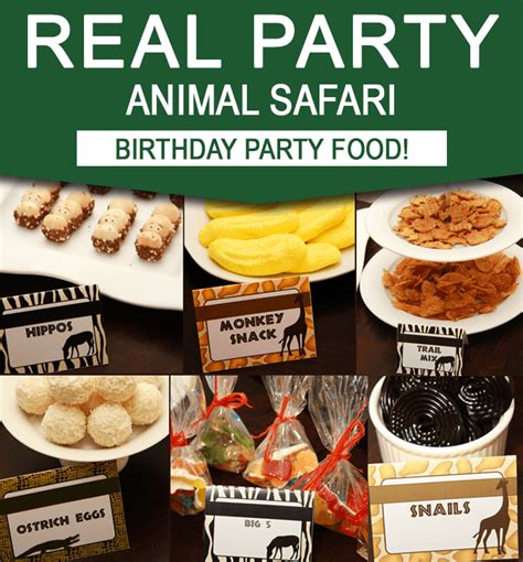 Safari Party Food Ideas - Safari Birthday Party Theme