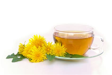 Most Efficient Diuretic Herbal Teas - Drink Herbal Tea