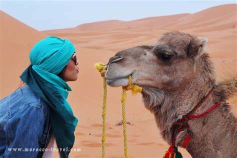 Morocco Desert Tours - Travel to Morocco | Luxury & Private Morocco Tours | The Best of Morocco ...