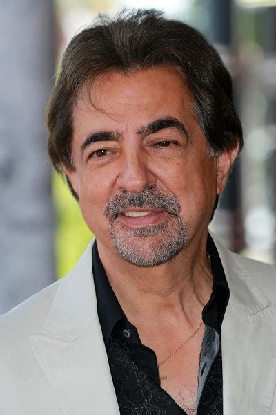 Joe Mantegna - Ethnicity of Celebs | EthniCelebs.com