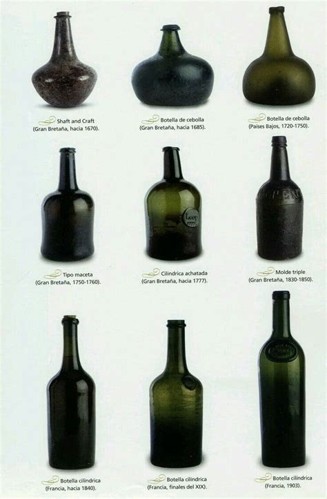 Evolution of Wine Bottles: Shapes and Sizes