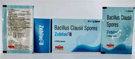 Bacillus Clausii Spores at Rs 550/bottle | Raipur Khurd | Sas Nagar ...