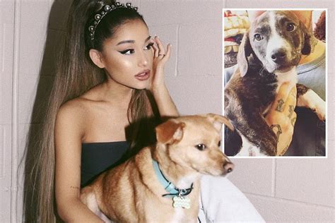 Ariana Grande flew her dogs out to Glasgow so she would feel at home ...