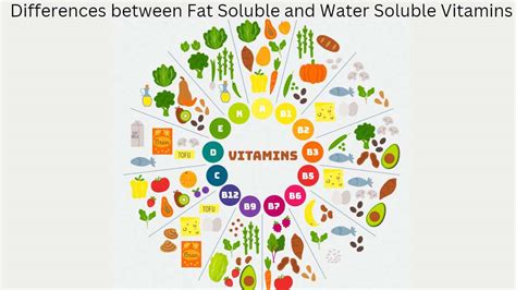 Difference between Fat-Soluble and Water-Soluble Vitamins