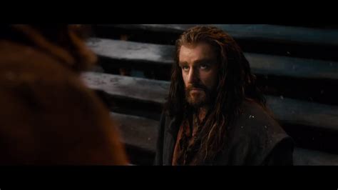 Thorin Oakenshield - The Hobbit: The Desolation of Smaug - Thorin ...