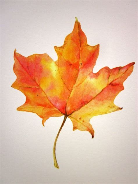 fall leaves are the most beautiful things in the world | Fall leaves tattoo, Watercolor ...