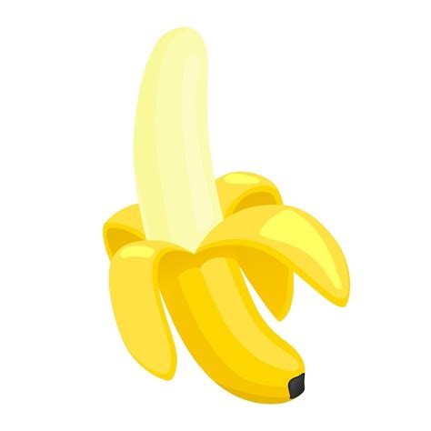 Premium Vector | Realistic fresh yellow banana isolated on white ...