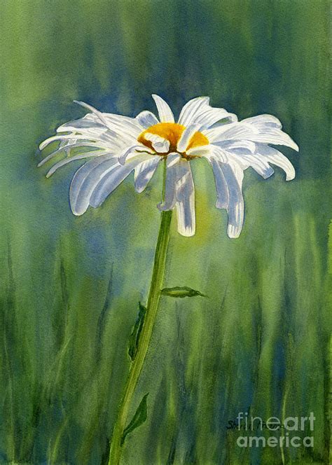 Shasta Daisy Flower With Blue Green Background Painting by Sharon Freeman