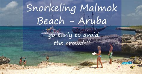 Snorkeling Malmok Beach - Access From Shore Or By Boat Tour