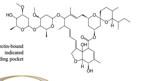 Solved Why is structure hydrophobic? | Chegg.com