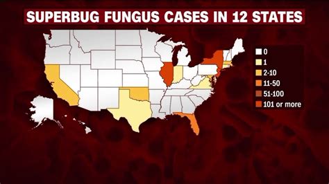 Illinois has 154 cases of potentially deadly fungal disease; 3 in St. Louis area - YouTube