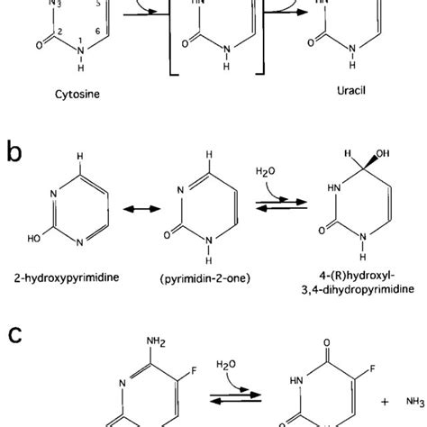 (a) Cytosine deaminase catalyzes conversion of cytosine to uracil and ...