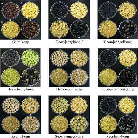 The separated seed components of nine soybean varieties. A Whole grain;... | Download Scientific ...