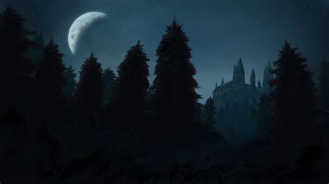 Hogwarts at night : r/DigitalPainting