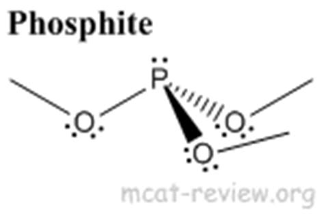 The Covalent Bond - MCAT Review