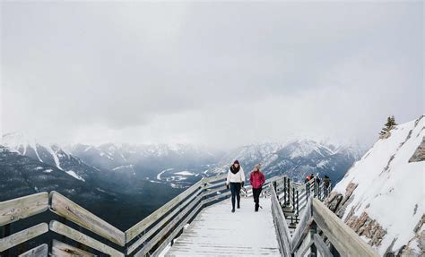 Banff Gondola Official Page | Experience Mountain Top Views & Dining