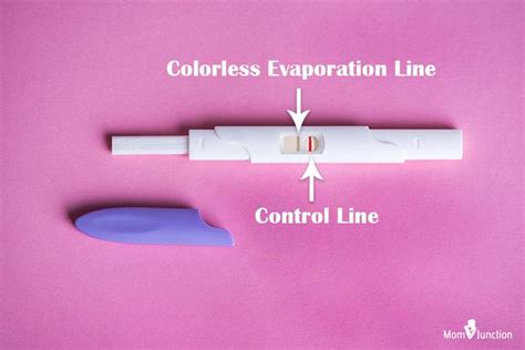 Evaporation Line On A Pregnancy Test: Positive Or Negative?