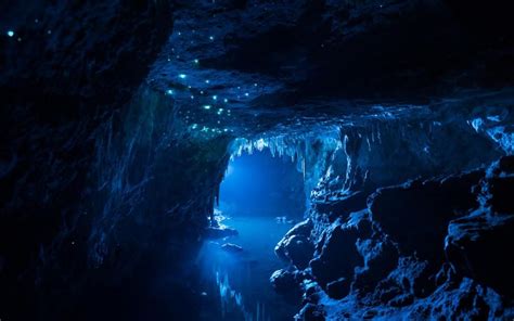 WIRED on Twitter | Underwater caves, Dark cave, Glow worm