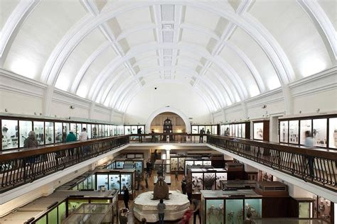 HORNIMAN MUSEUM AND GARDENS (2024) All You Need to Know BEFORE You Go ...