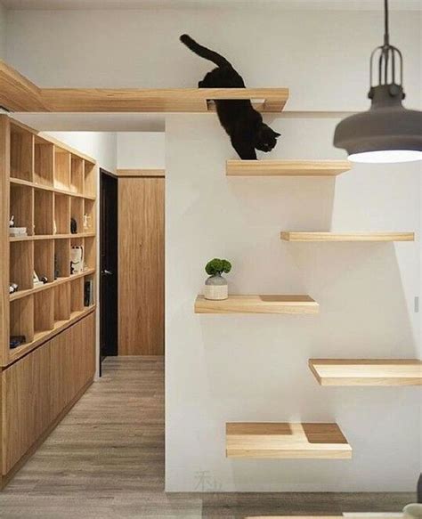 12 Modern Cat Furniture Ideas | Cat wall shelves, Cat wall furniture ...