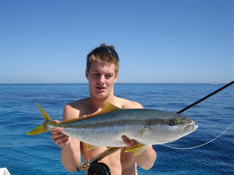 Going fishing – great tips for catching local yellowtail kingfish | Your World Plans