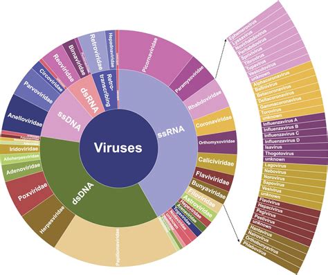 Enhanced virome sequencing using targeted sequence capture