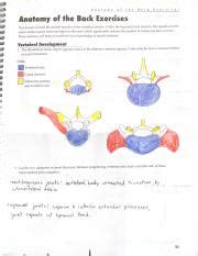 Back Anatomy 183-186 .pdf - Anatomy of the Bock Exercises Anatomy of ...