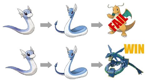 dratini evolution