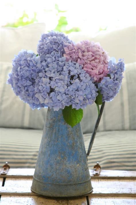 Pink & Lavender Hydrangeas Pictures, Photos, and Images for Facebook, Tumblr, Pinterest, and Twitter