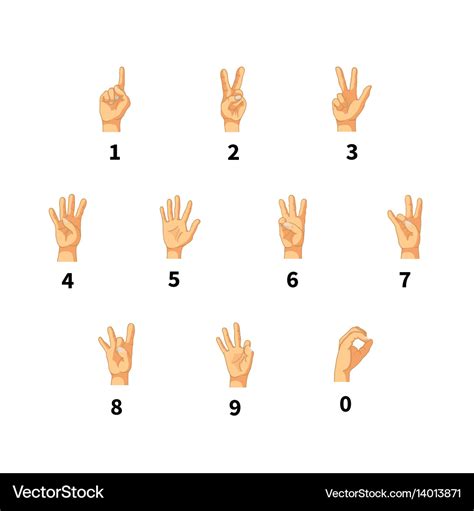 Numbers in hand sign language isolated on white Vector Image