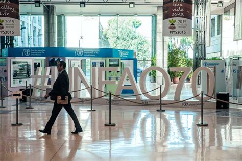 Proud to host Fishackathon at FAO Headquarters in Rome, Italy | Blue ...