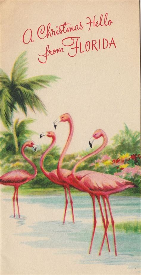 Vintage Greeting Card Christmas FLORIDA 1940s Pink Flamingos v425 | Florida christmas, Vintage ...