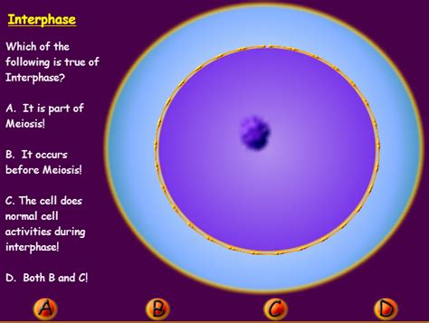 A screenshot of Snurfle Meiosis and Genetics | The Science Game Center