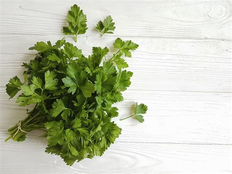 Italian Flat-leaf Parsley Seeds - Heirloom – Hometown Seeds