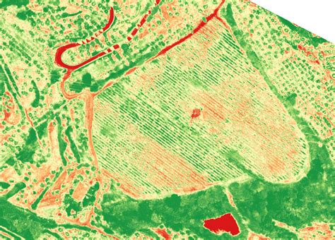 Plant vigor mapping for precision agricolture - Tononeng