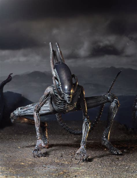 NECA Alien Covenant Xenomorph Action Figure | ActionFiguresDaily.com