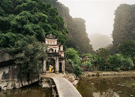 Vietnam’s Empty Forests - The New York Times